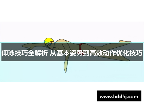 仰泳技巧全解析 从基本姿势到高效动作优化技巧