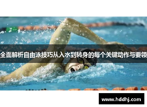 全面解析自由泳技巧从入水到转身的每个关键动作与要领