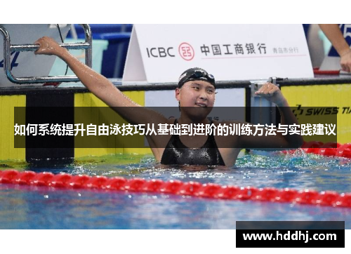 如何系统提升自由泳技巧从基础到进阶的训练方法与实践建议