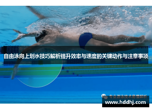 自由泳向上划水技巧解析提升效率与速度的关键动作与注意事项