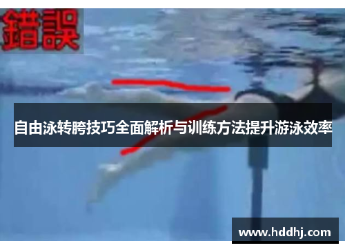 自由泳转胯技巧全面解析与训练方法提升游泳效率